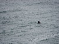 Summer Vacation 2018-220  Well hi there to you too!